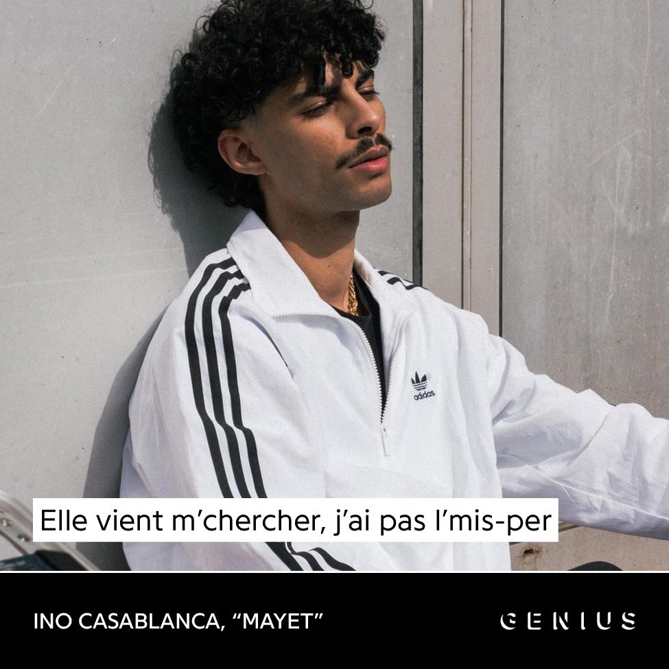 suzanne farhane tweet media