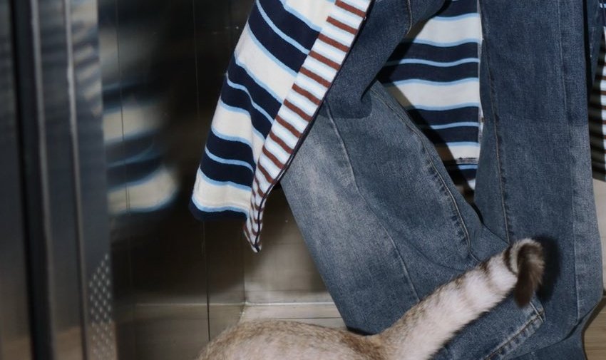 ּ ֶָ֢. tweet media