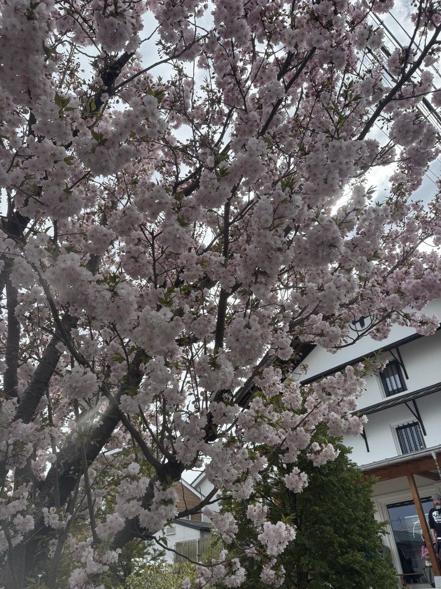 banbanbaba's tweet photo. 土曜は長野CELLAR RECORDSでSESS。
日曜は京都磔磔でSDS。

最高にご機嫌な2daysっした〜🌸🚗💨 https://t.co/UFGeei3U8T