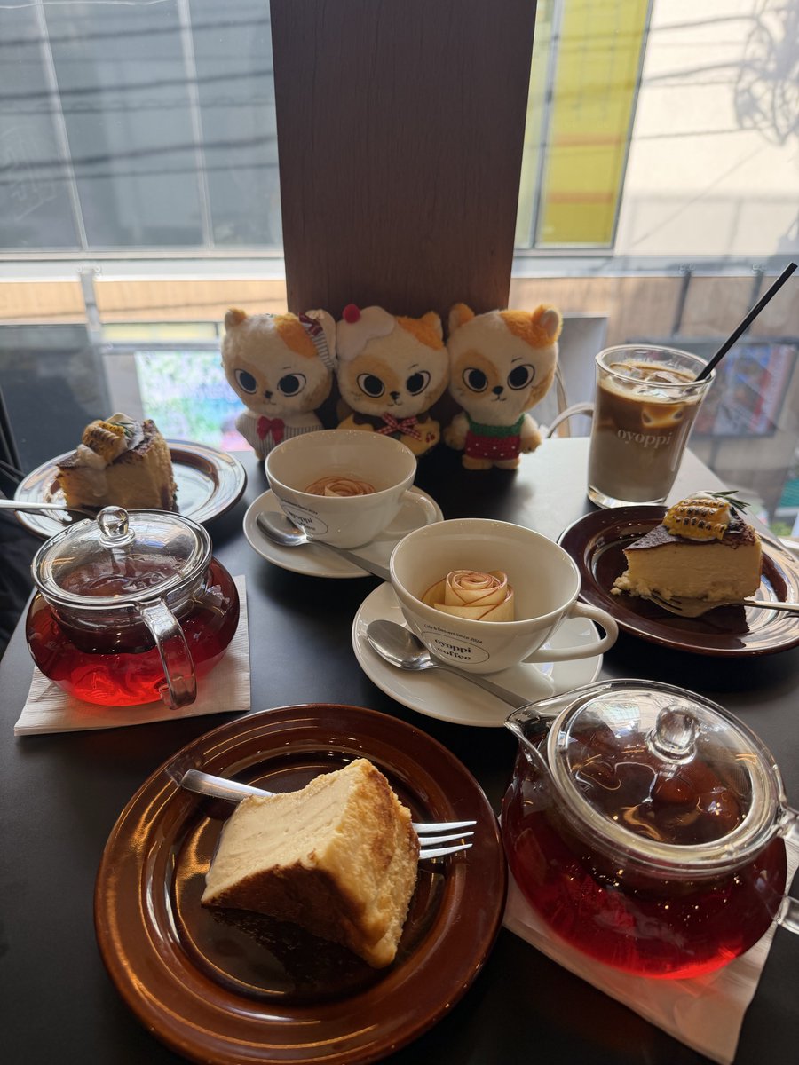 なぁ🐈🎀 tweet media