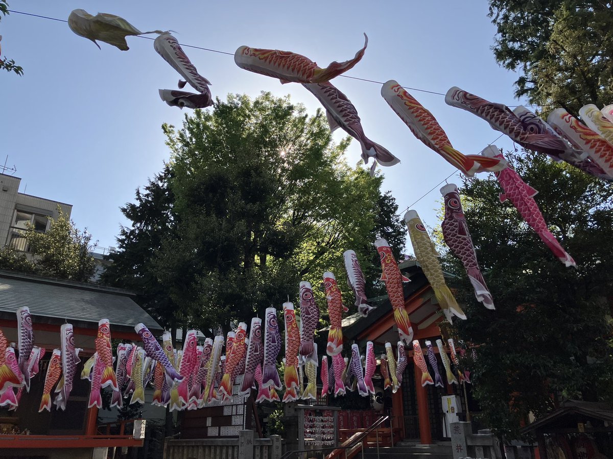 「くまくま神社」こと熊野町熊野神社へ行ってきました。
「熊野こいのぼり祭」の期間中で、沢山のこいのぼりが飾られていました🎏
空を泳ぐこいのぼりがとても気持ちよさそうで、見ているこちらまで元気をもらえました。
8月の舞台の成功をしっかりお願いしました。
いい風が吹きますように✨