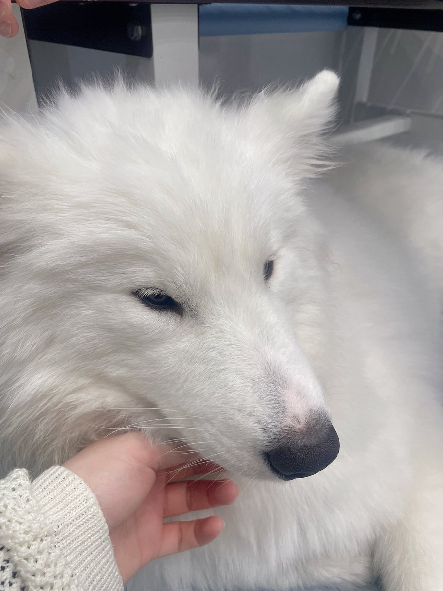 のあ𓂂𓏸 tweet media