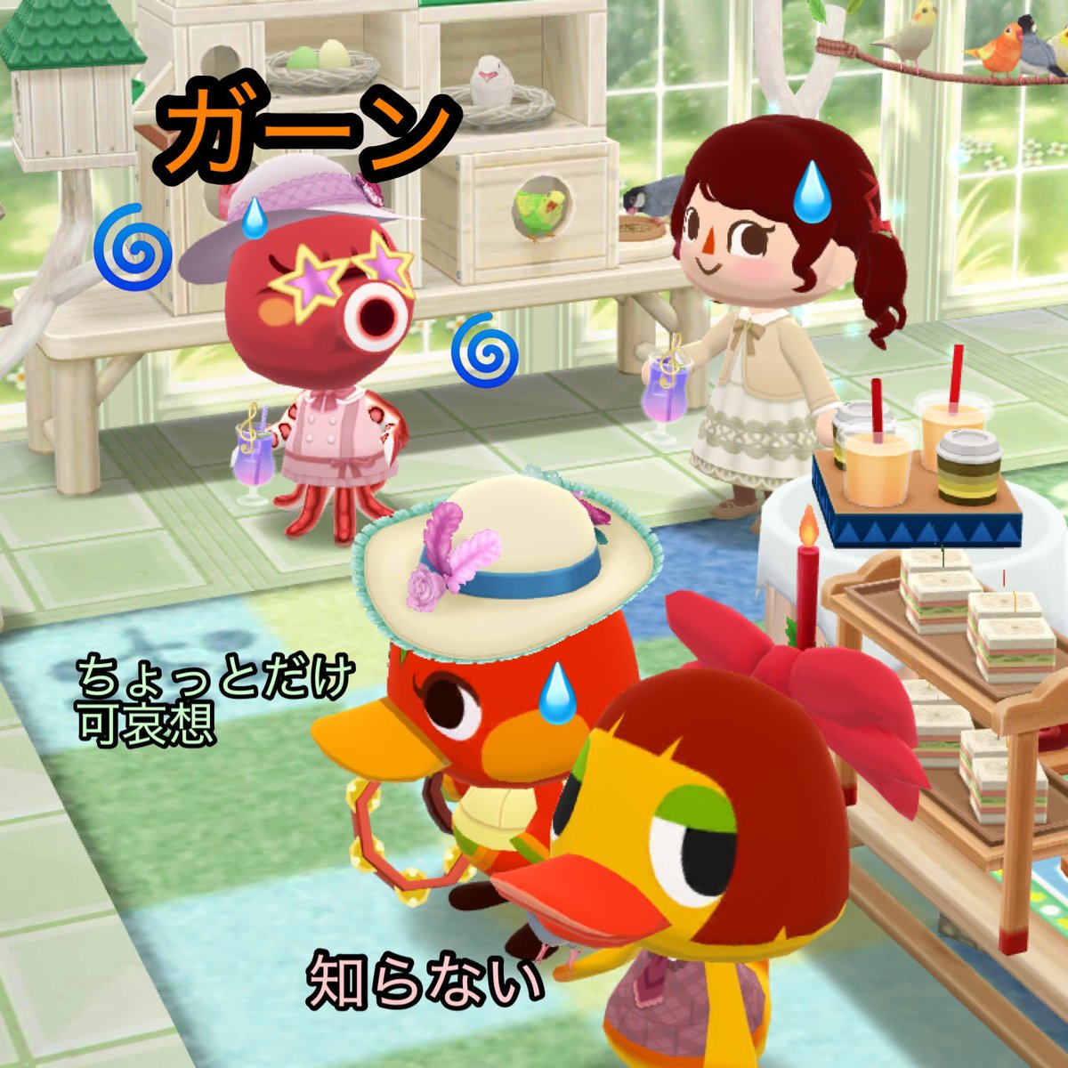 It08ZuhNAAdZTxm's tweet image. いや~たまたまお前達が女子会の話してたからよ〜　
ここに来れば（アンヌさんに）…るかと…ゴニョ🐙

会場借りに来たり女装してまで女子会に潜り込んだりさてはアヒル族に入りたいんですね✨🦆

俺はアンヌちゃんに会いに来てるんだ🐙
やだキモい🪿

それにアタシ好きな人いるし🪿

完
#ポケ森 #acpc