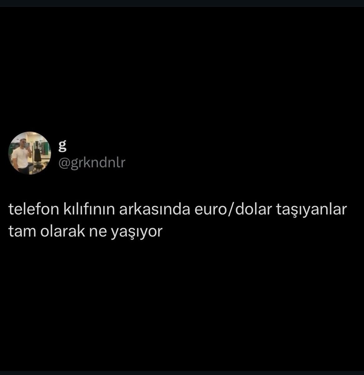 Tek yatırımım kılıfın arkasında 100 dolar