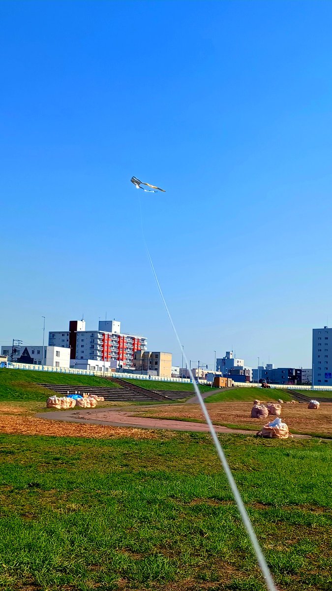 ノグブラック tweet media