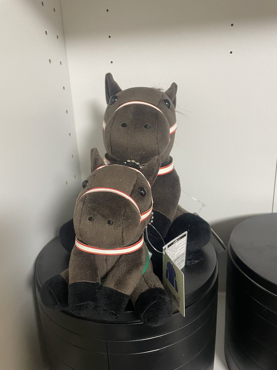 ハシビロこうぴょん@狂気的ｱﾙﾃｨﾒｯﾄブログの民 tweet media