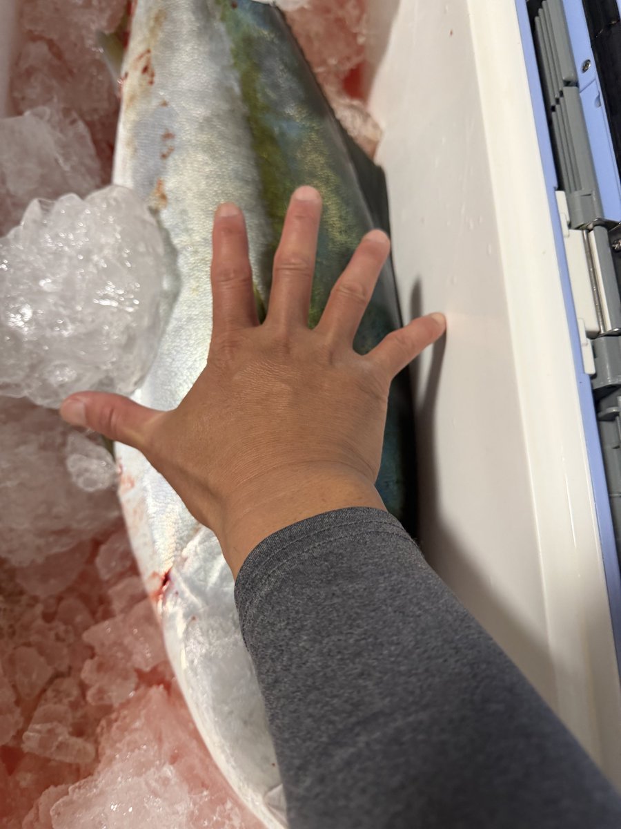 hooryhoxy tweet media