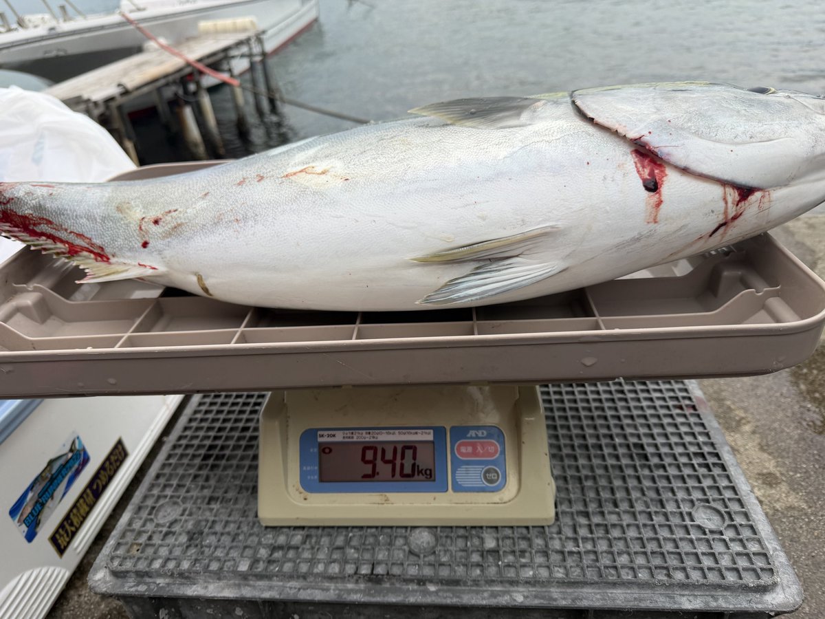 hooryhoxy tweet media