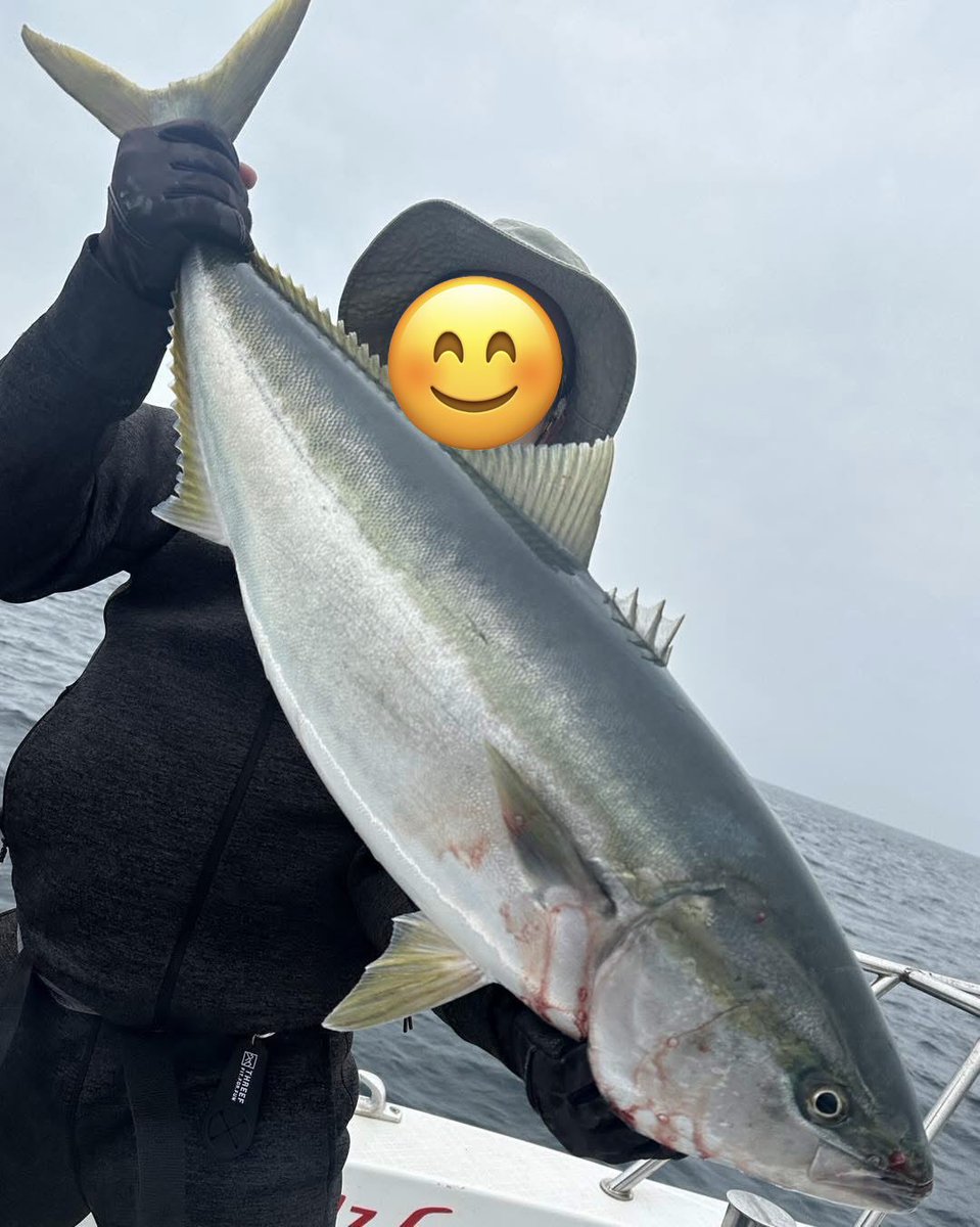 hooryhoxy tweet media