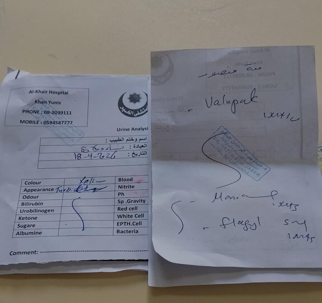 ⭐ om rose🇵🇸 tweet media