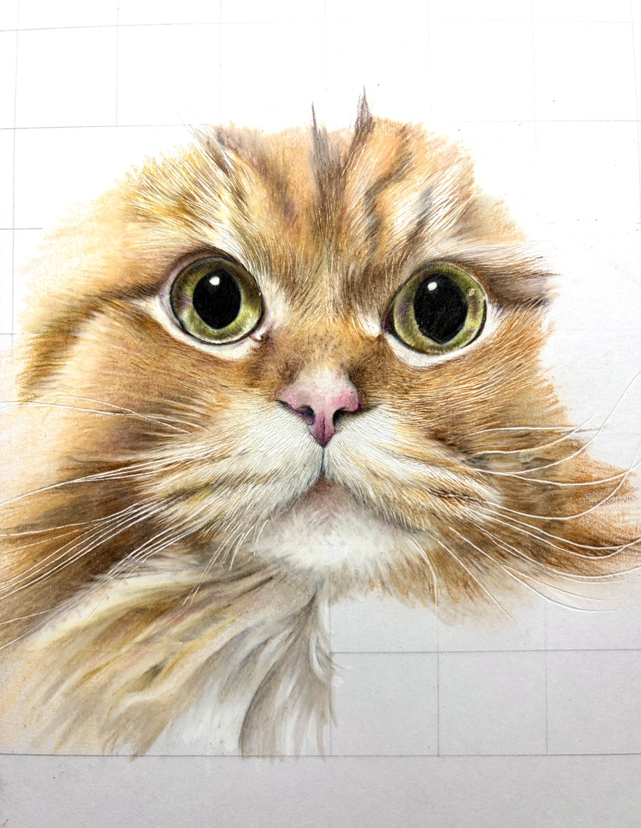 hi3_xxx's tweet photo. 今日はここまで🐾 https://t.co/CaBEYmmWJi
