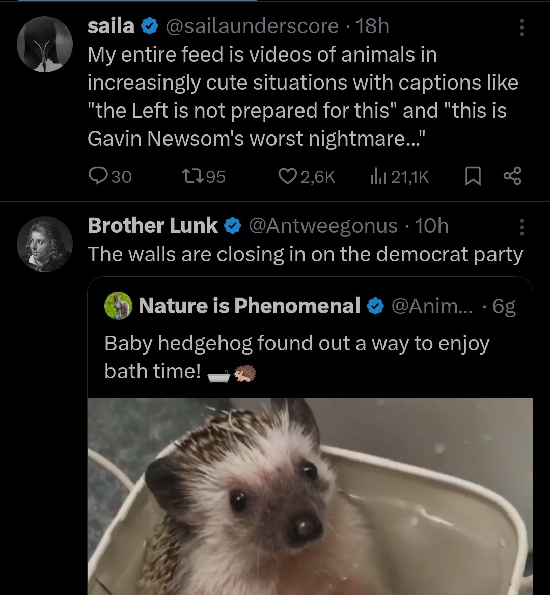 Evasore Fiscale tweet media