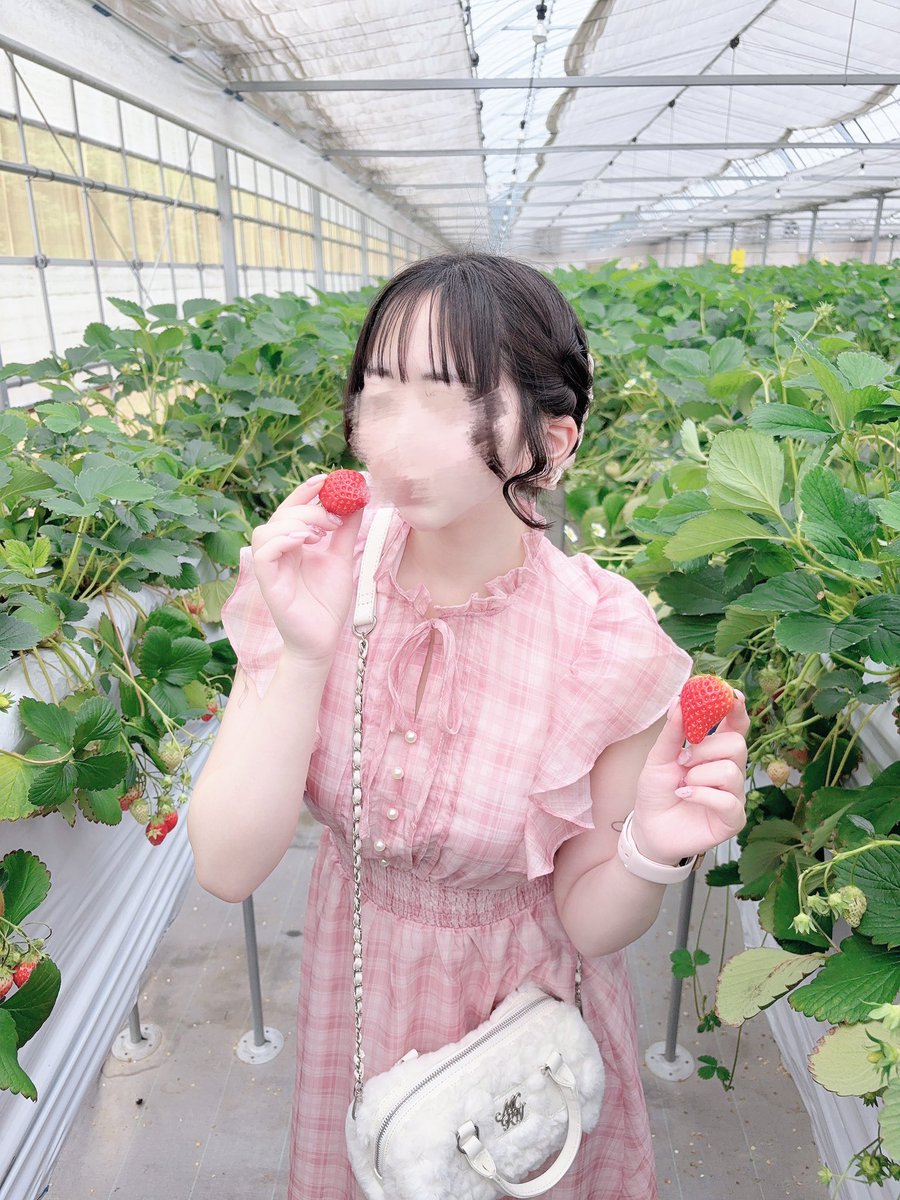 さきまるちゃん tweet media