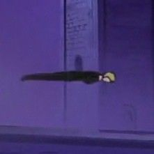 sanji is always in situations