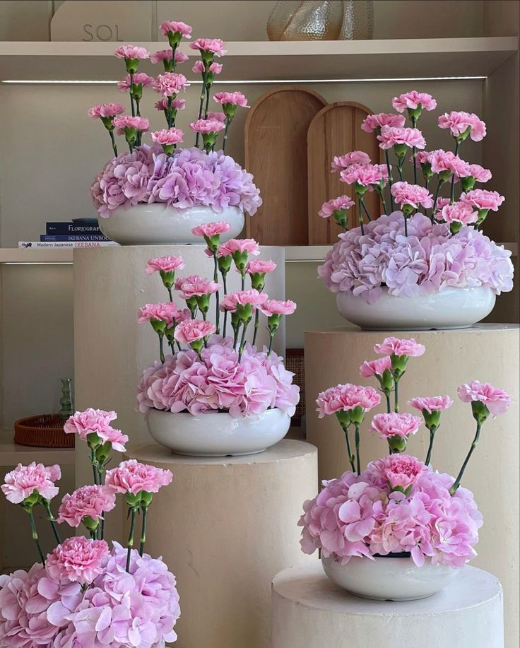 Flowerslovers44's tweet photo. https://t.co/xMUKGsQNOb