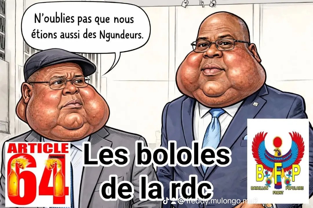 Freddy Mulongo Mukena, journaliste engagé tweet media