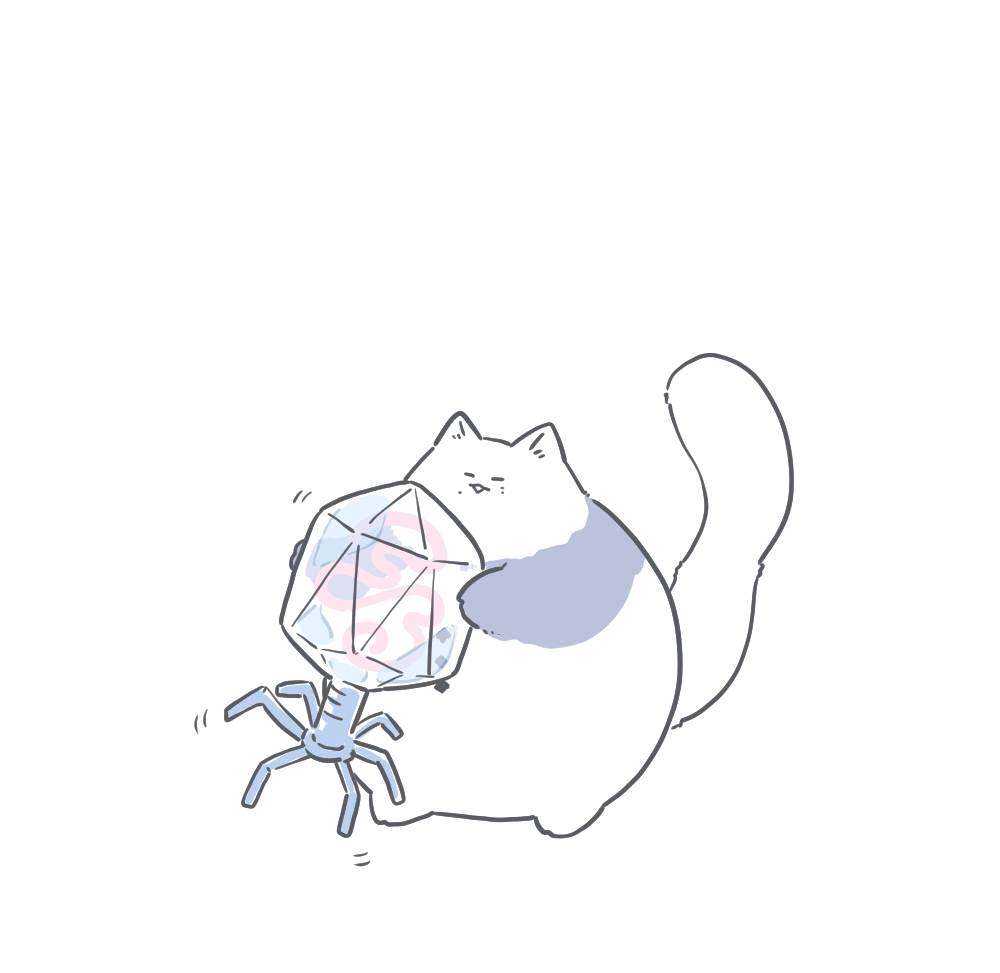 どでかバクテリオファージとでかねこちゃん