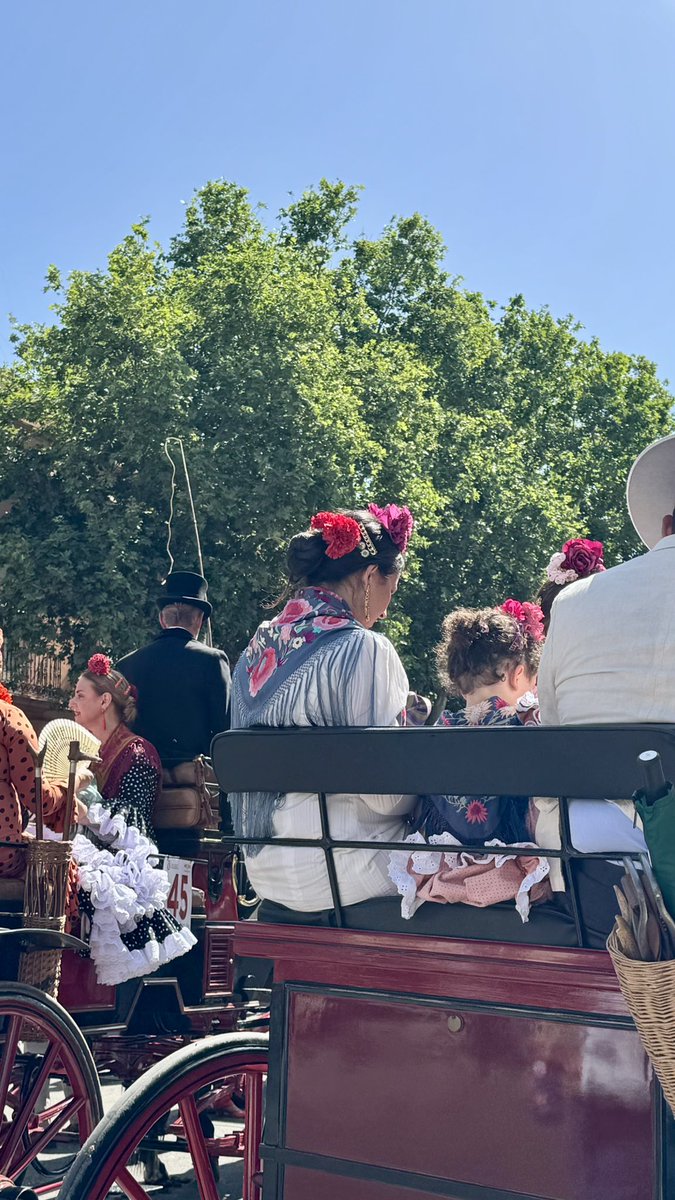 ¡Superioridad estética!