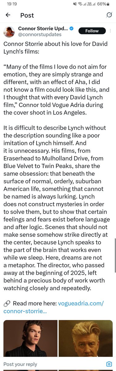 liz Xie lian bot tweet media