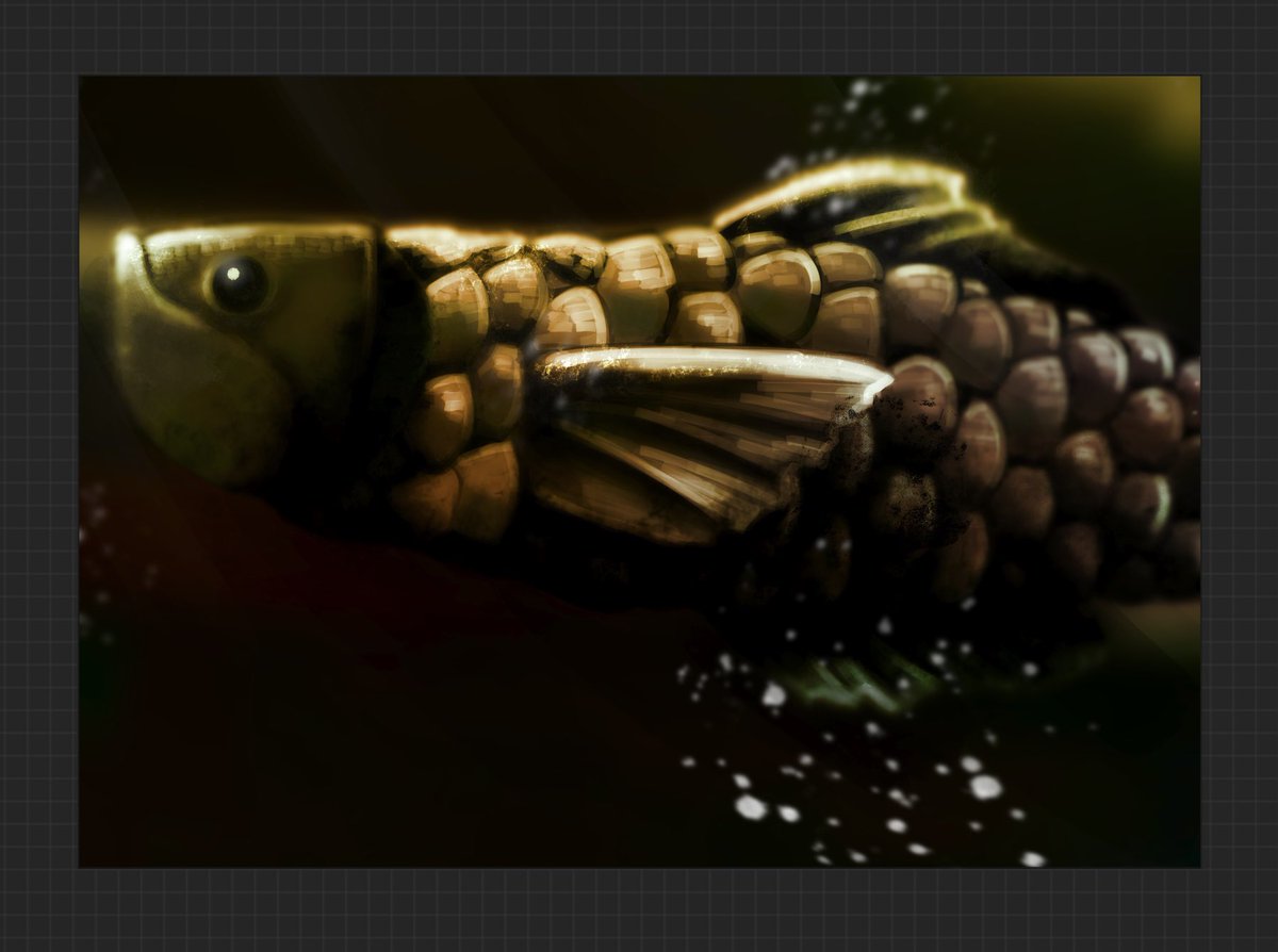 かかお豆 tweet media