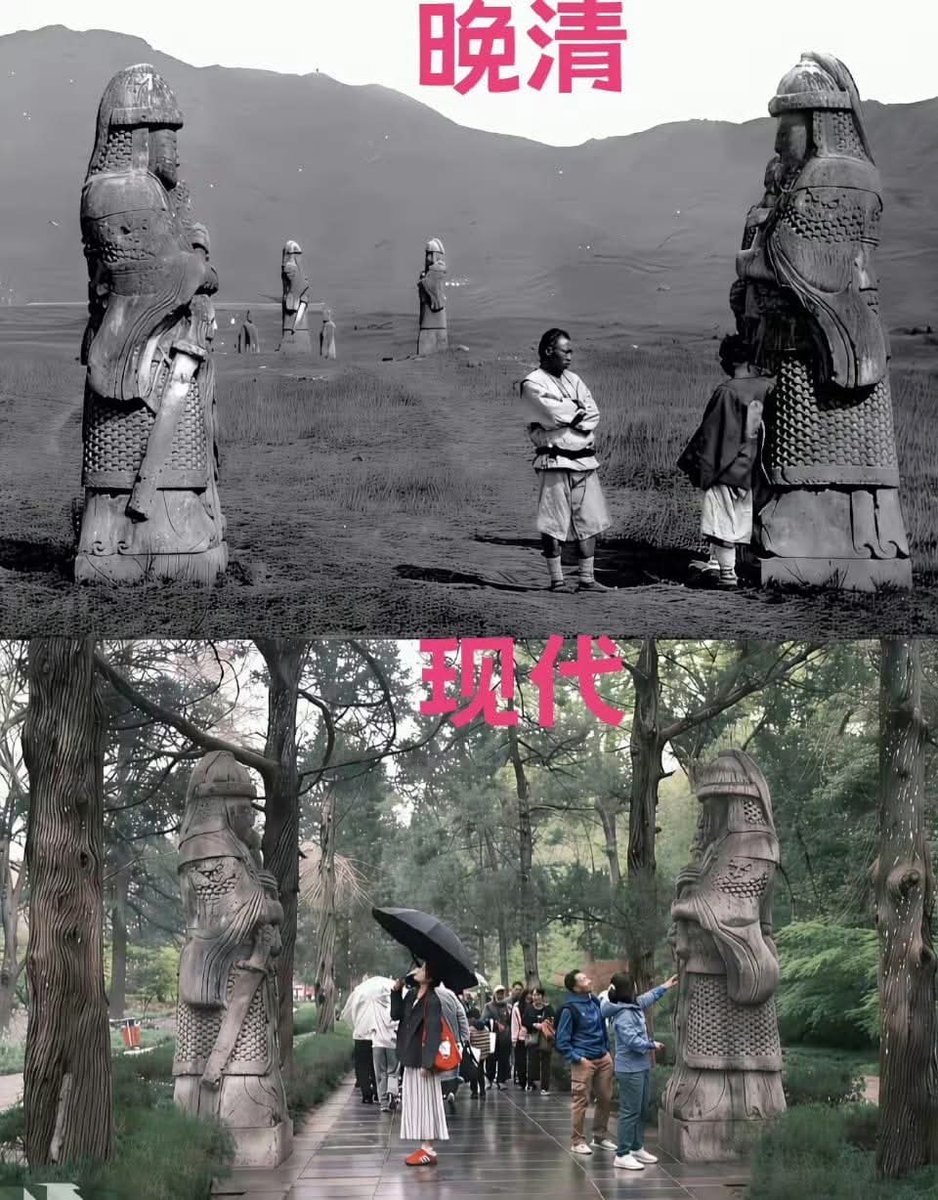 Monkey King（follow back） tweet media