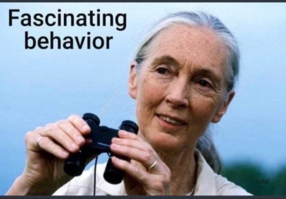 mindyourmanors tweet media