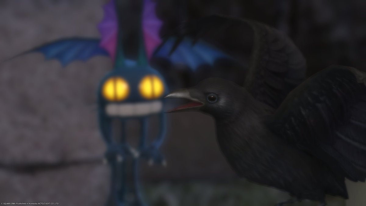 내 냥아치가
지인분 까마귀 사냥하려고햇음 내가봣음 ㄹㅇ