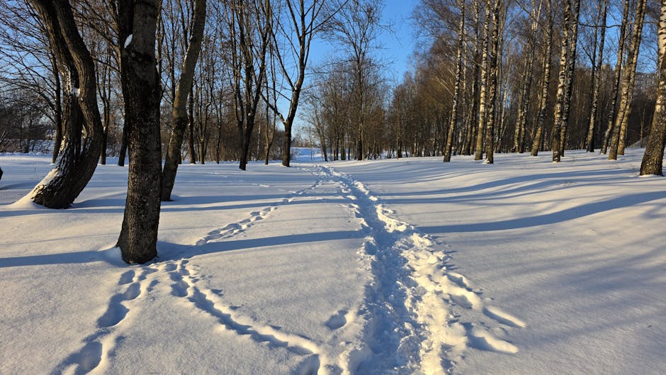 Timothy Galloway tweet media