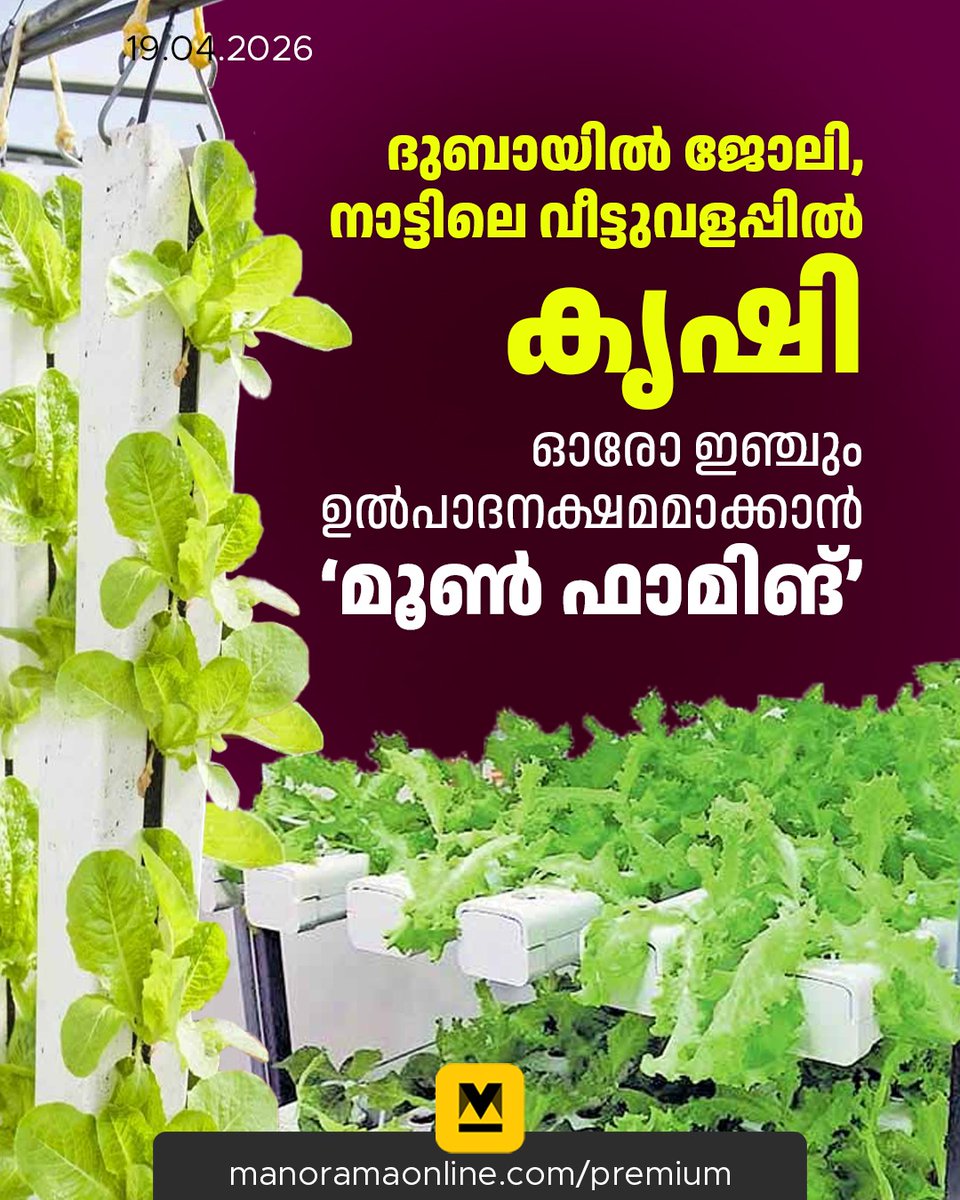 manoramaonline's tweet image. വീട്ടുപരിസരങ്ങൾ സുന്ദരവും ജീവിതനിലവാരം വർധിപ്പിക്കുന്നതുമാക്കാൻ ആഗ്രഹിക്കുന്നവർക്ക് മൂൺ ഫാമിങ് പ്രൈവറ്റ് ലിമിറ്റഡിനെ സമീപിക്കാം.

#MoonFarming #Landscaping #Farming #ManoramaOnlineIndepth

Read: mnol.in/kya2xla