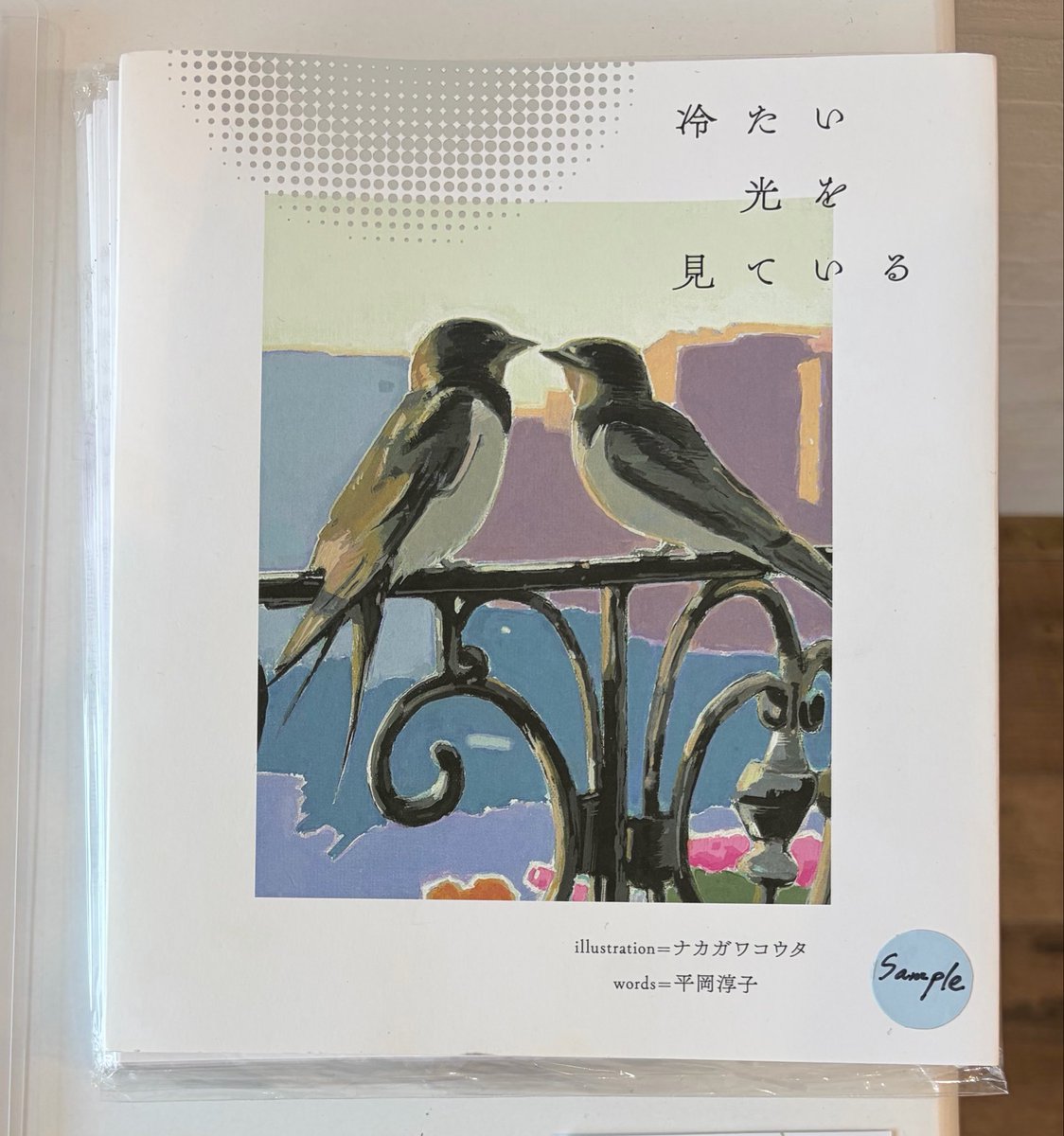 ナカガワコウタ Cota Nakagawa tweet media