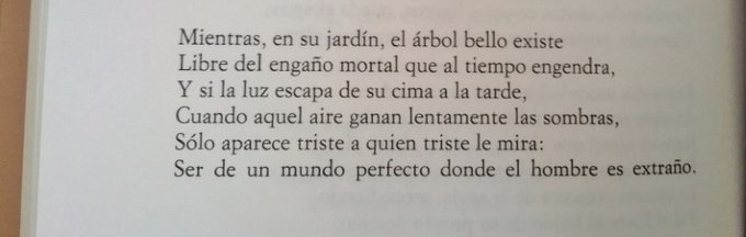 Montse Escribano Ruiz tweet media