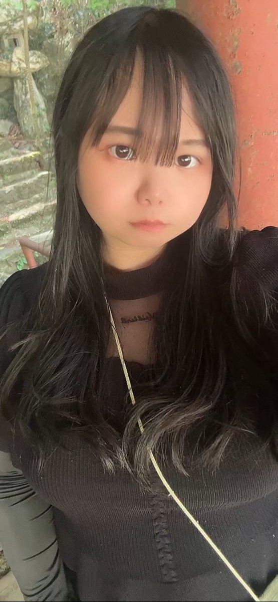 にゃーぁ。 tweet media