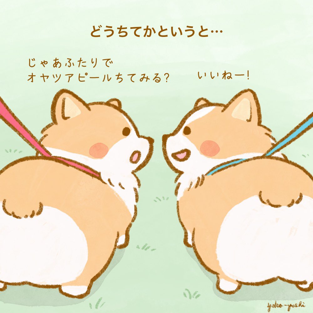 yoko-yoshi tweet media