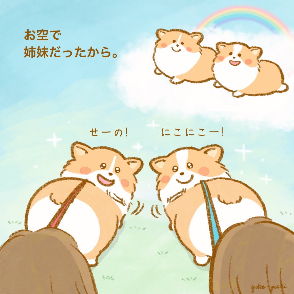 yoko-yoshi tweet media