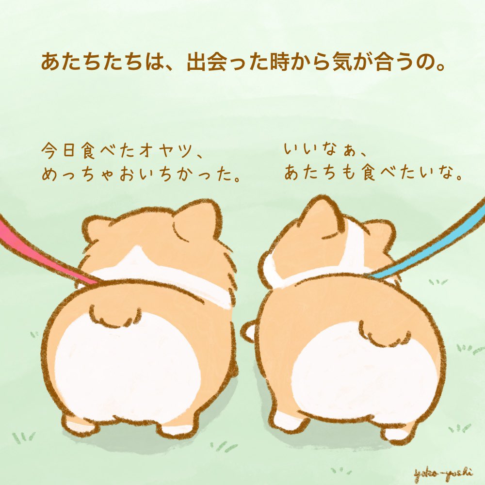 yoko-yoshi tweet media