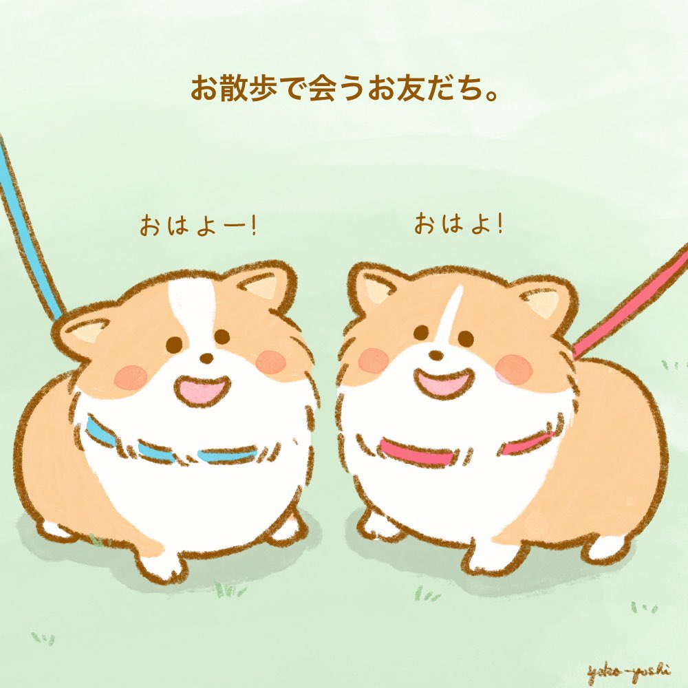 yoko-yoshi tweet media