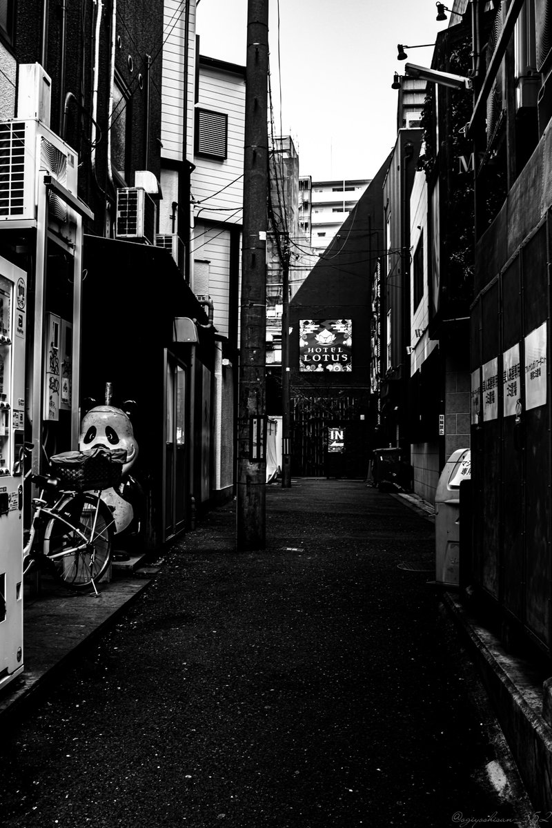 ogiyoshisan_352's tweet image. DOYAMA area, Osaka 2603143⃣6⃣
2026年3月の堂山町
#MONOCHROME 
#みんなのスナップ写真展 
#2026osakastreet