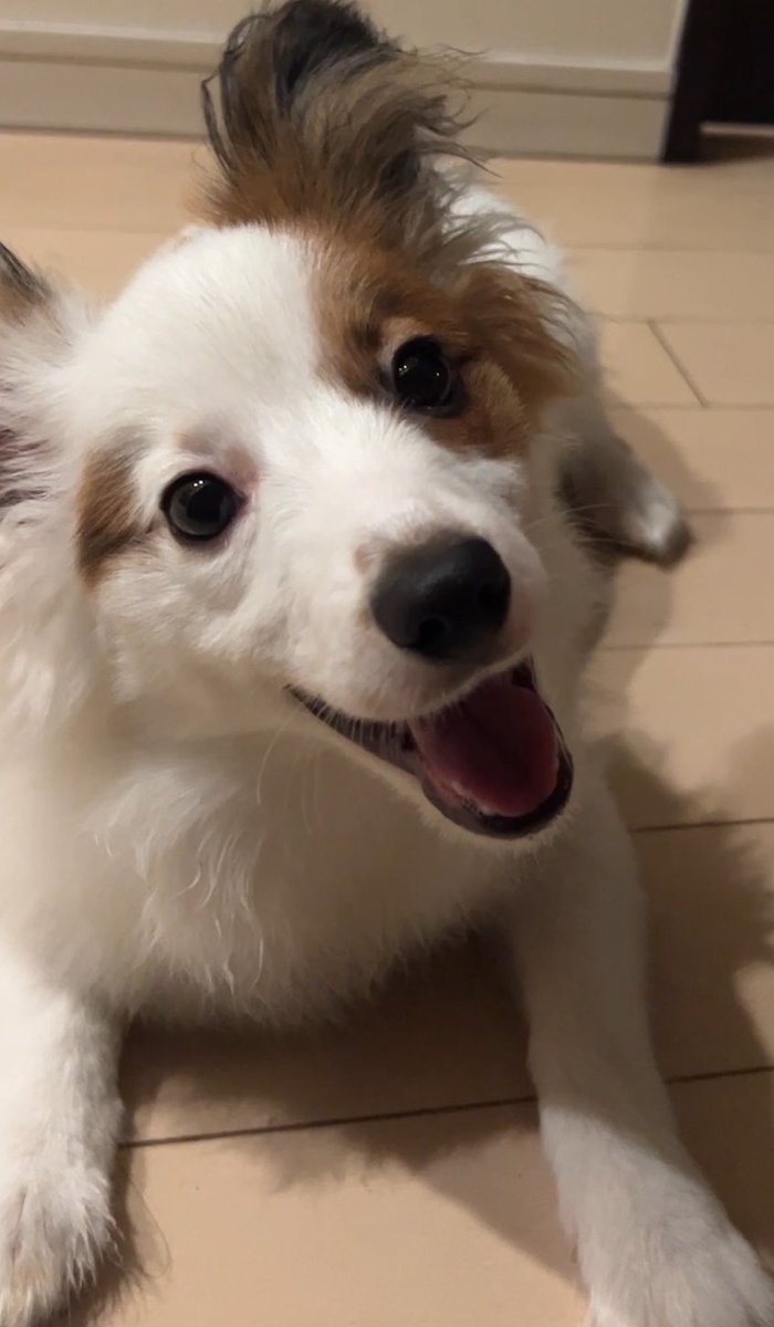 すごい笑顔