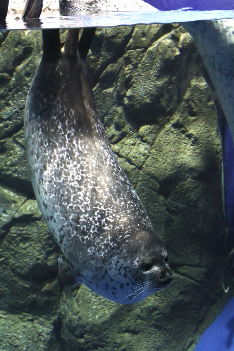 𝕄 𝔼 𝕎 tweet media