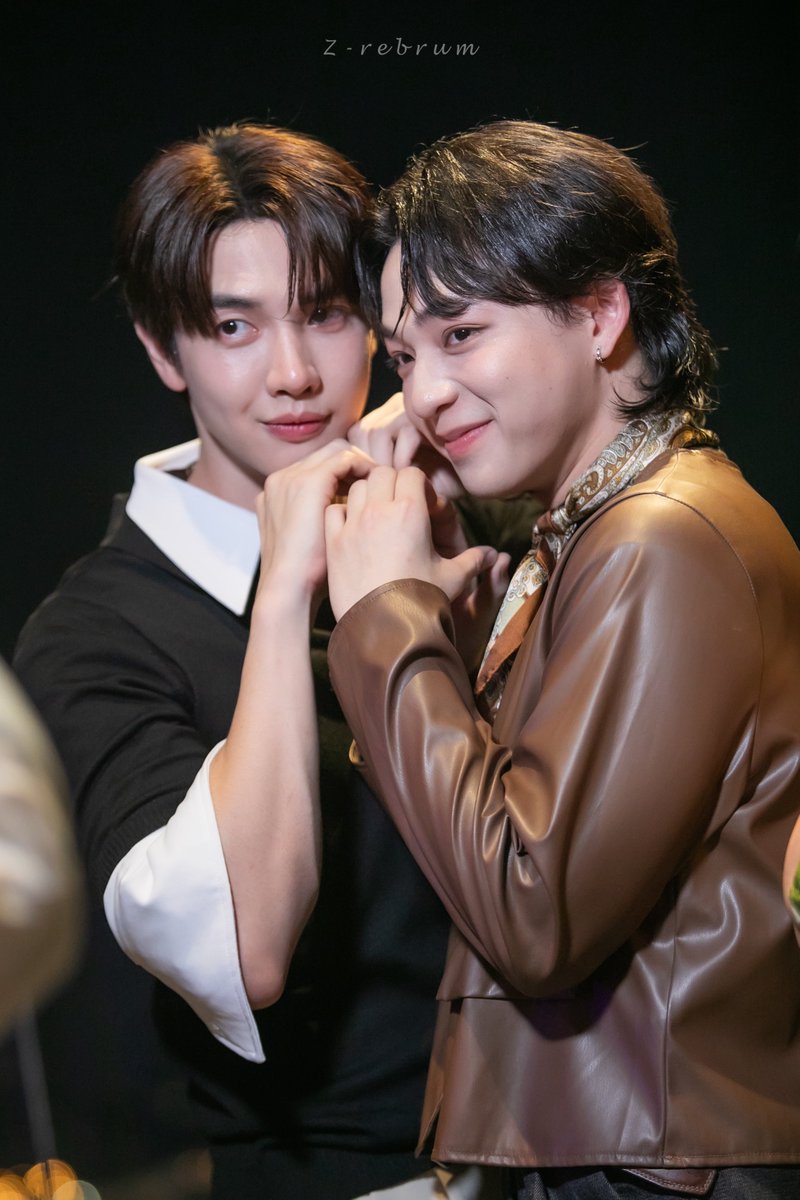 Z-rebrum tweet media