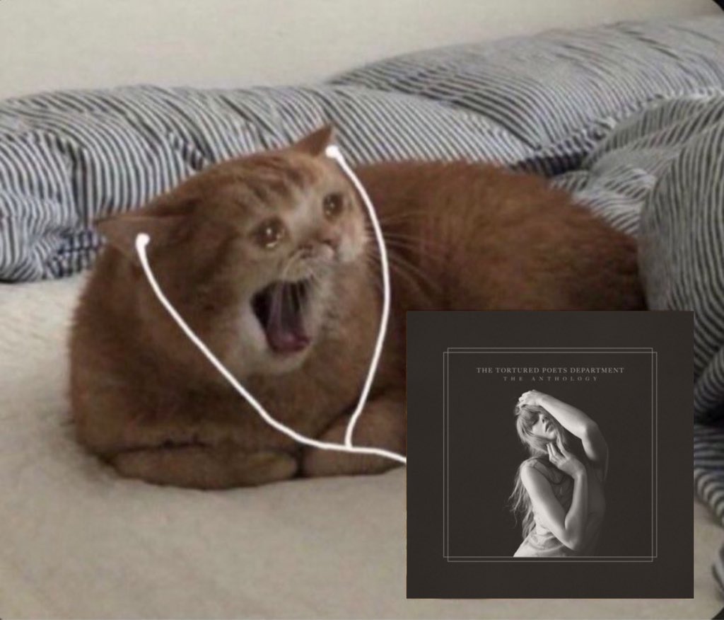 🐾Stylistic Swiftie❤️‍🔥 tweet media