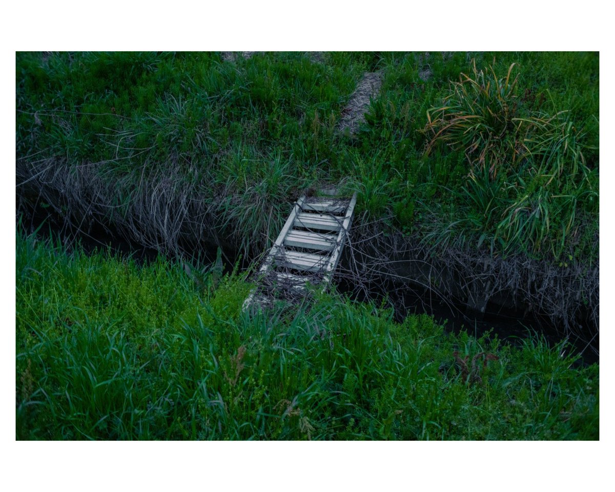 haru_photo553's tweet image. 梯子

 #snapshot
 #写真好きな人と繋がりたい