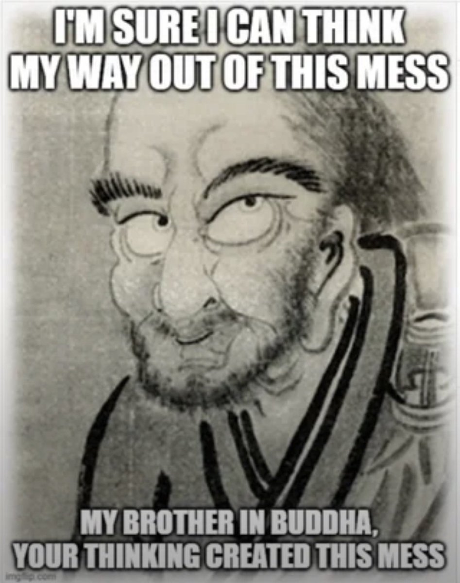 ꒌ 𓂀 𝙱𝚕𝚞𝚝𝚑𝚞𝚛𝚎 𓂀 ꒌ tweet media