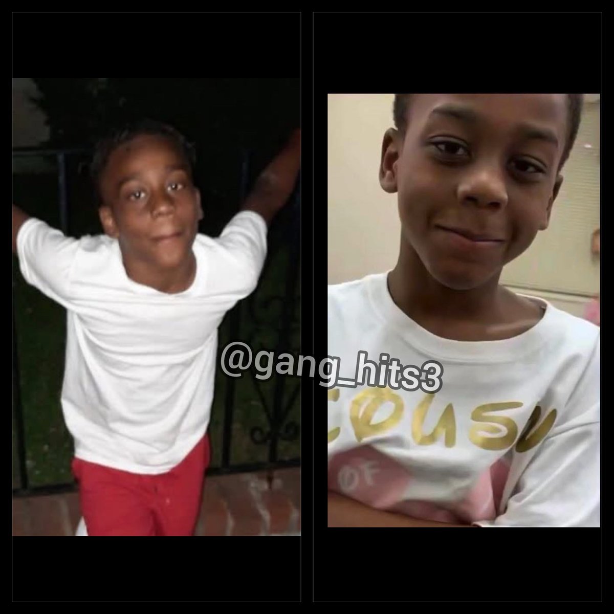Gang Hits tweet media