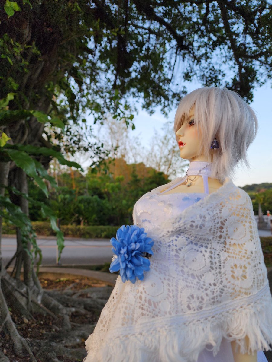 じじぃ tweet media