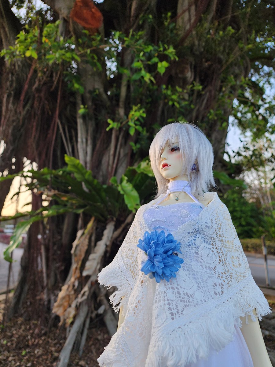 じじぃ tweet media