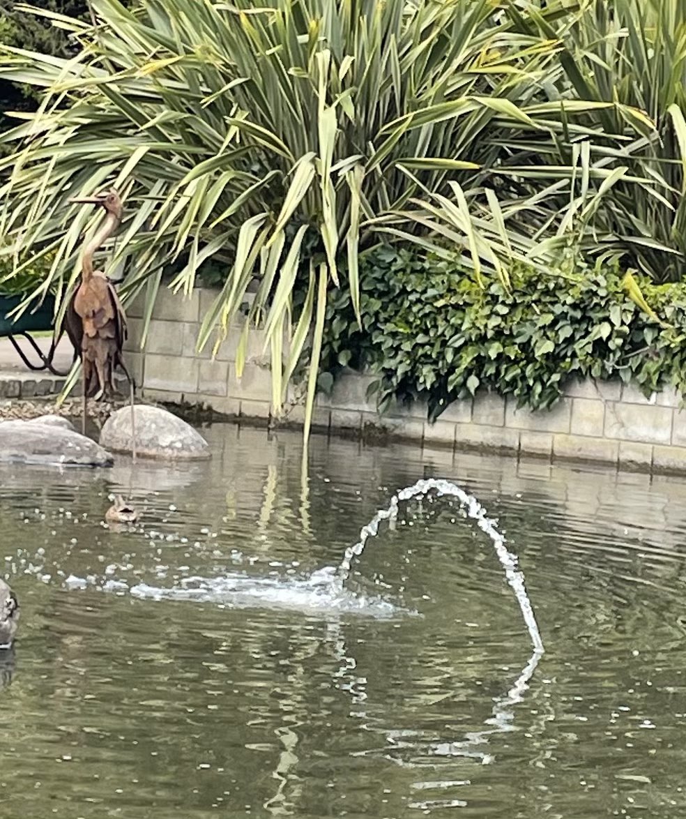 devereux1655's tweet image. #iron #insects #birds #water Durham botanical gardens