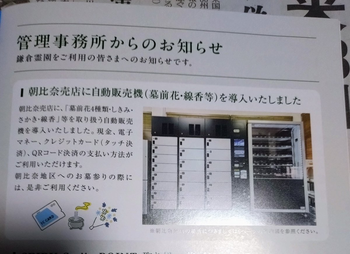 深海　魚美 tweet media