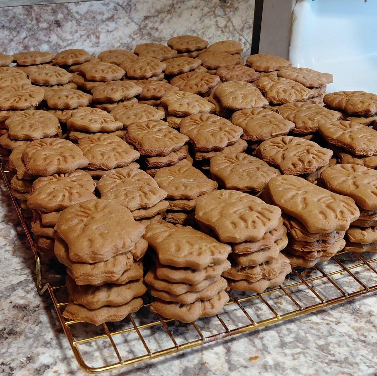 Cassie Katarn tweet media