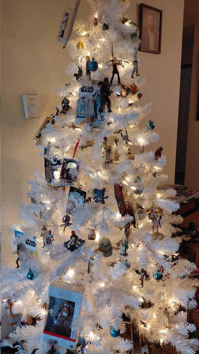 Cassie Katarn tweet media